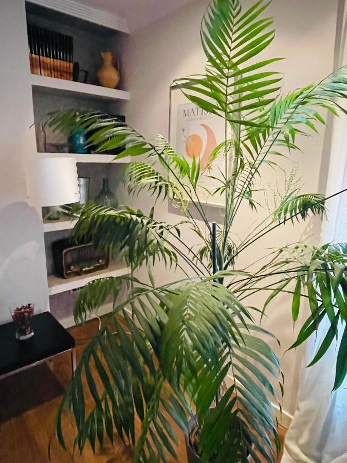 レオンCasa Lolaアパートメント エクステリア 写真